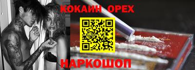 СК Новодвинск