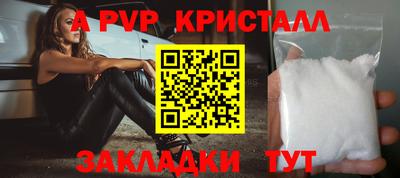 СК Новодвинск
