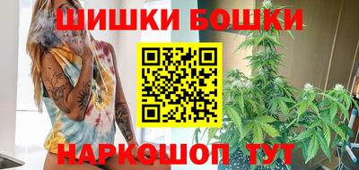 СК Новодвинск