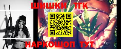 СК Новодвинск