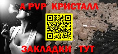 СК Новодвинск