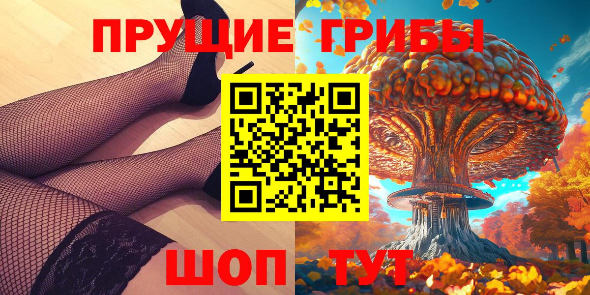 Галлюциногенные грибы Psilocybe Туапсе